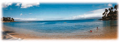 Napili Bay Beach